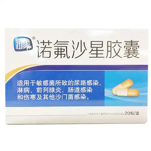 润家 诺氟沙星胶囊 0.1g*20s-全药通-国内药品批发采购b2b网上商城