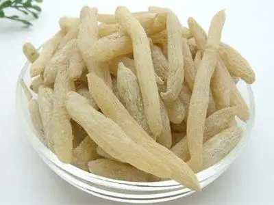 天冬与麦冬图片区别有哪些