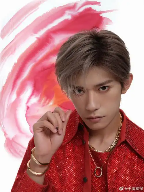 tfboys官方应援棒呢