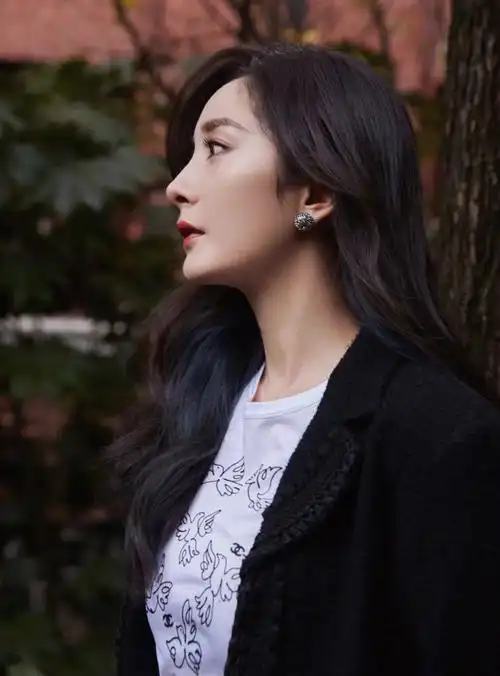 梦回林萧,杨幂的s形侧颜太绝了