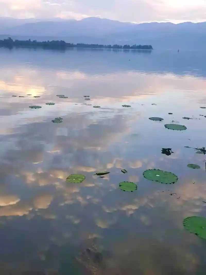 早安 #唯美意境 #湖边美景 #夏天 #自然风光美如画 # - 抖音