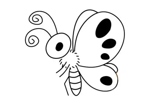 漂亮的蝴蝶简笔画简单画法步骤图解