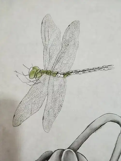 工笔《残荷映秋》画法,收藏学习了!