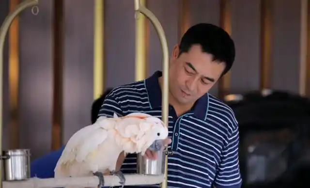 执子之手,与子偕老——电视剧《一仆二主》中杨树和唐红的爱情观