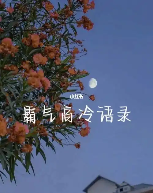 10字短句高冷霸气十足 10字短句高冷霸气十足女生