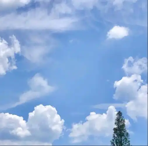 御姐高冷男头像时尚背景图