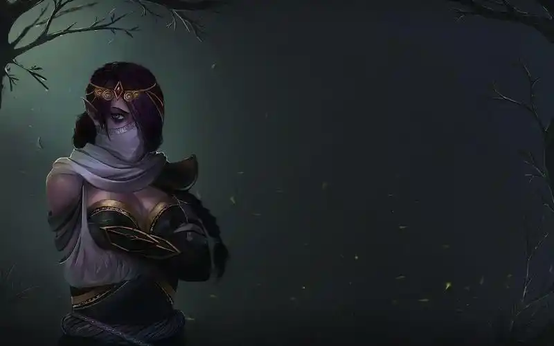 圣堂刺客 - dota壁纸800x600分辨率查看