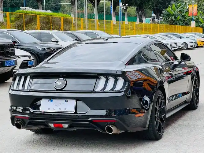 福特 mustang  2020款 2.3l ecoboost图片