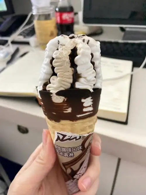 这个雪糕就真的巨巨巨好吃哇