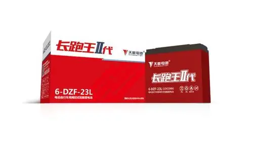 天能长寿王,长跑王诠释高端电池品质!