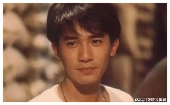 这6位男星的头,让女人好心碎|何炅|吴彦祖|发际线|梁朝伟|金城武