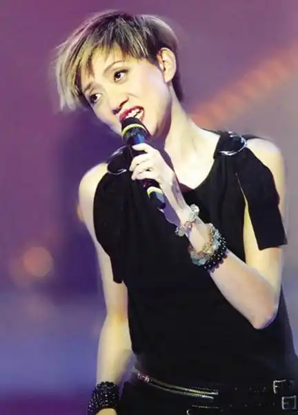 梅艳芳:1992年,梅艳芳因在酒吧里不肯为黑帮献唱而遭打耳光,甚至被