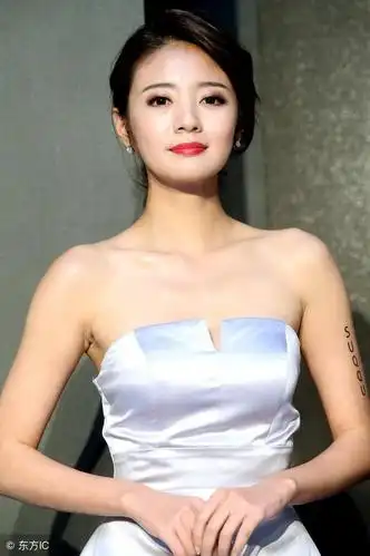 安以轩 - 求真百科