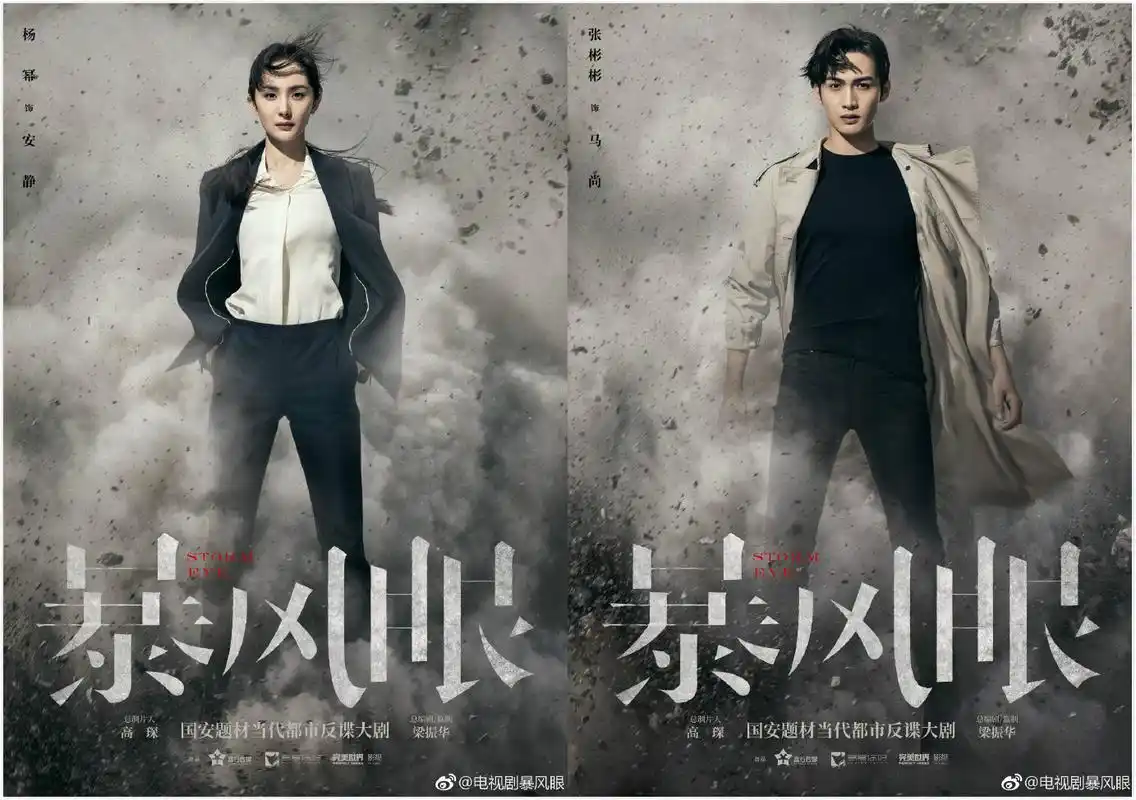 根据电视剧备案公示显示,《暴风眼》讲述了国安侦查员马尚负责侦查