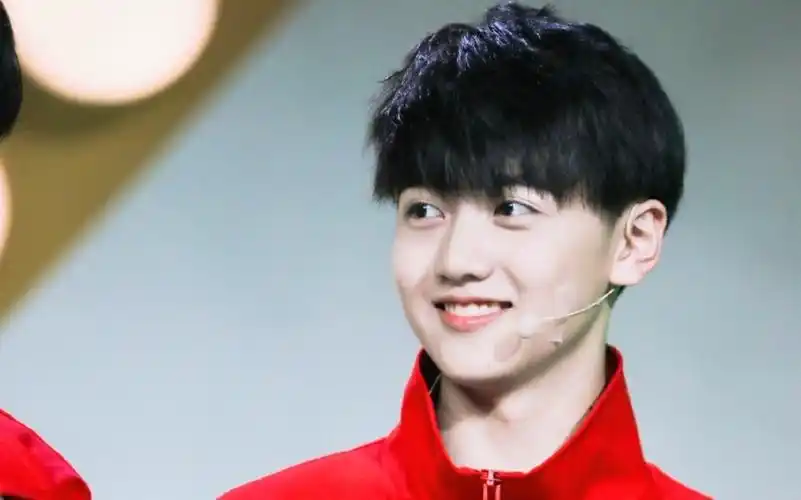 【焉栩嘉】2020追星手帐/护照本/拼贴_哔哩哔哩_bilibili