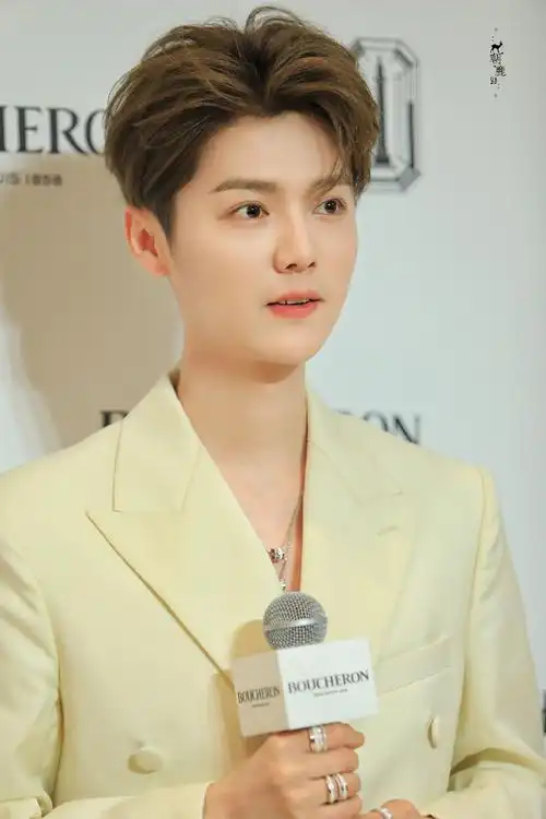 鹿晗戴耳骨钉##鹿晗项链好长