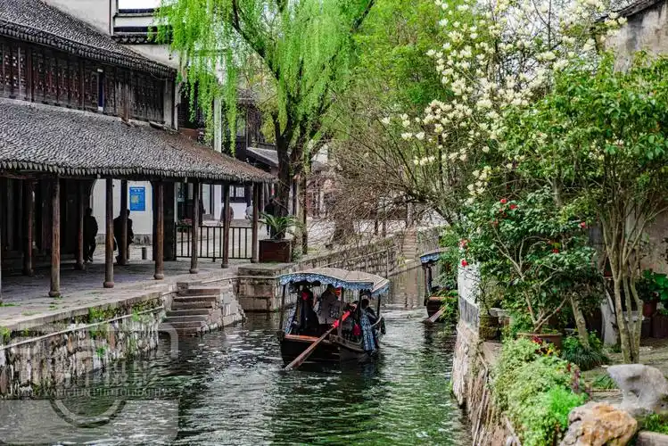 浙江烟火气十足的江南小镇,河流密布北依太湖,春色如画适合旅居