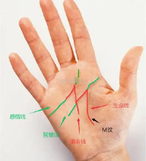 手上的事业线是从上往下看么 事业线交叉混乱说明什么