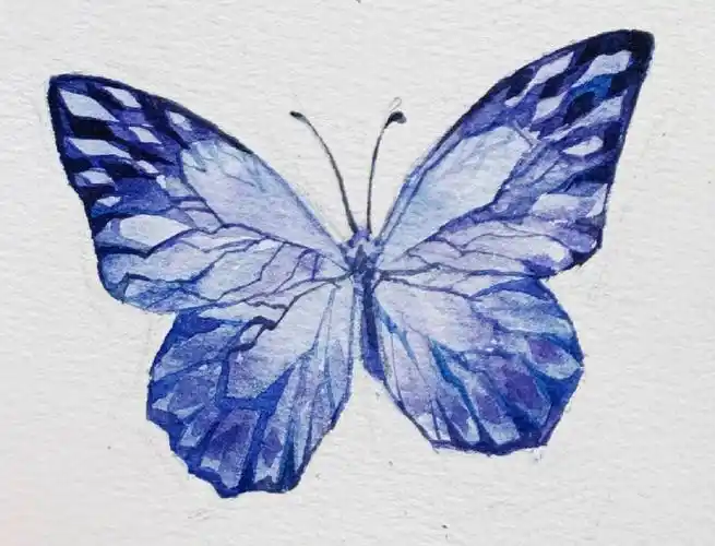 水彩蝴蝶附线稿步骤图详细讲解小提示