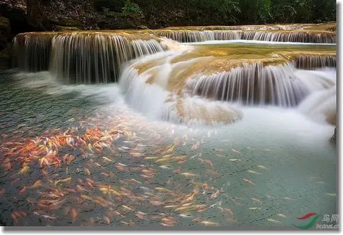 《瀑布下的鱼群》ps创意作品