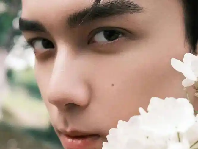 【八卦帝】白鹿,唐嫣,金莎,吴磊,贾玲,张凌赫