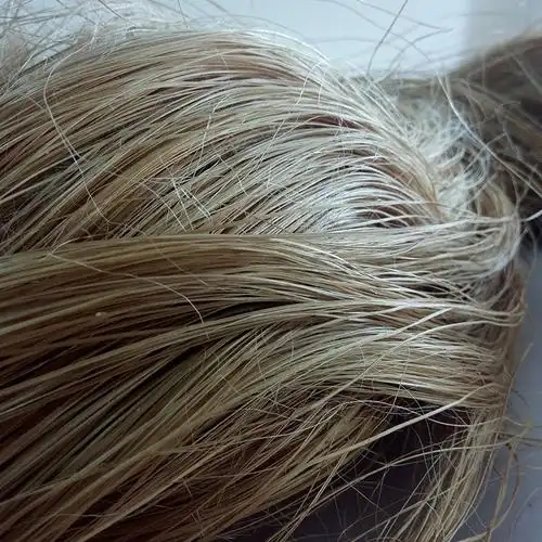 供应麻纤维植物纤维纺织原料厂家批发焦麻纤维无纺布可定制