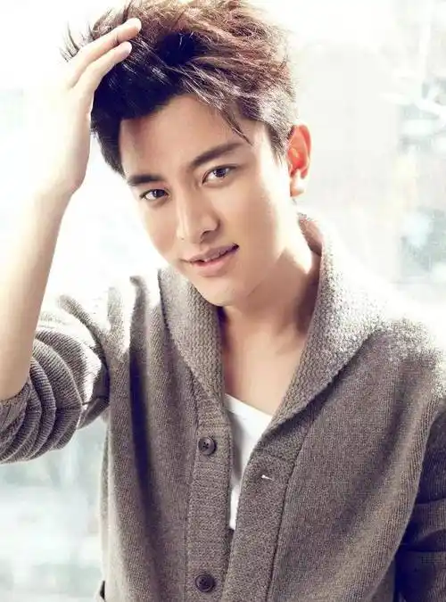 演员贾乃亮个人资料(中国内地影视男演员-贾乃亮) - 百思特网