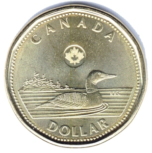 现货 纪念币 加拿大 1元 2016年 幸运鸭子 普制 潜鸟 硬币