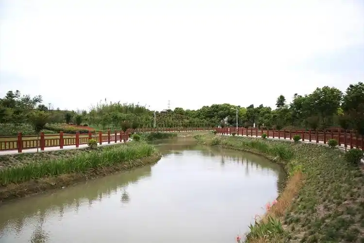 美丽乡村曹行村看得见山水记得住内涵