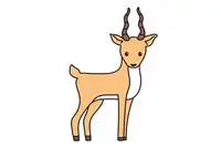 藏羚羊简笔画