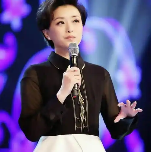 杨澜:主持人中的战斗机!勇于跳出舒适圈才是成功的真谛!