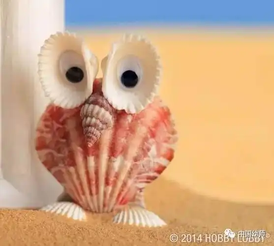 手工创意贝壳小手工