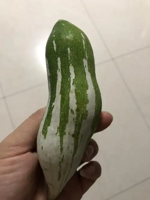 朋友们,这瓜叫什么名字呢?做法是怎样的?