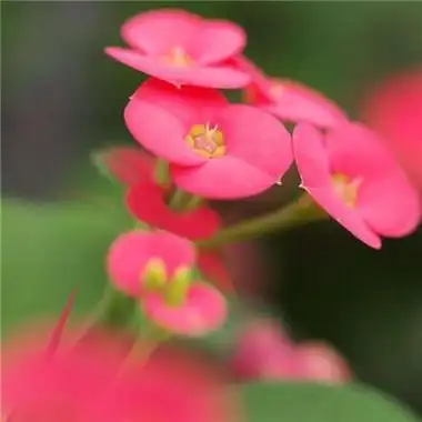 特别独立自主的星座有哪些风水八字同城网