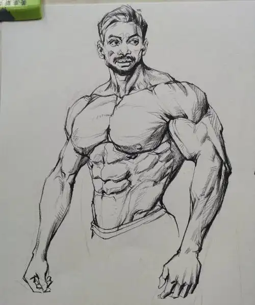 分享一波速写肌肉