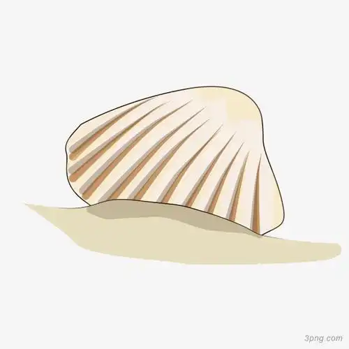 卡通贝壳矢量图下载