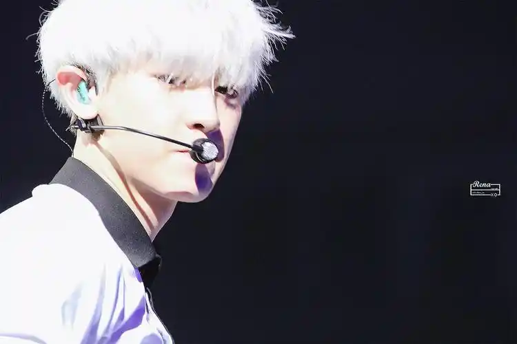 朴灿烈 灿烈 exo chanyeol 银发 - 堆糖,美图壁纸兴趣社区