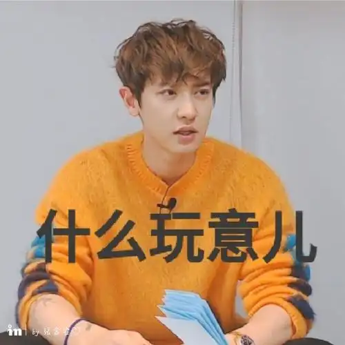 朴灿烈表情包之