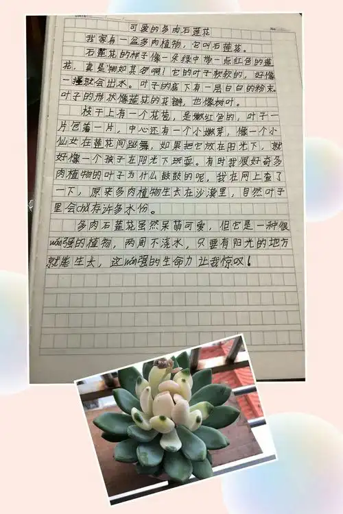 我的植物朋友——三(4)班作文集(三)