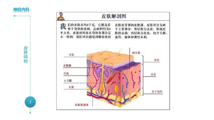 压疮相关护理2ppt