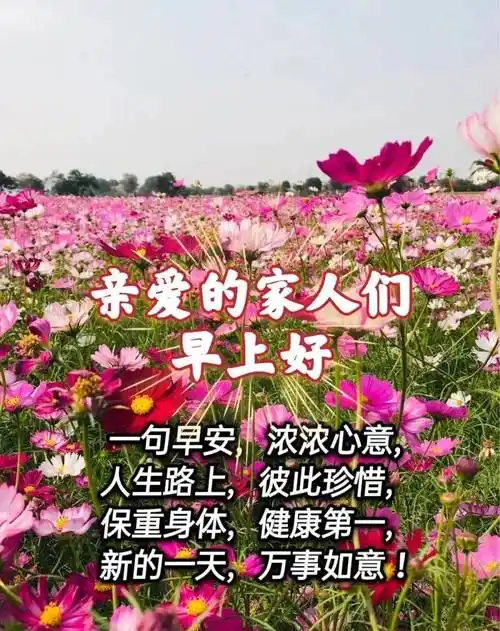 原创8张不用打字就可以聊天的早上好祝福语图片夏日清晨早安问候语