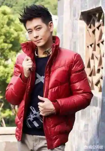 林志颖最红的时候有多红?-财易搜-专业的财经门户网站