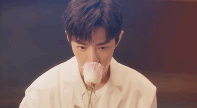 开小灶,rose only,微笑趣泡,最新广告大片帅照合集|肖战|李宁|玫瑰