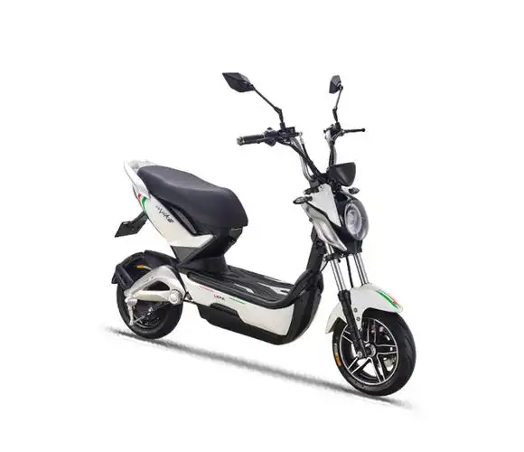 立马电动车v客图片