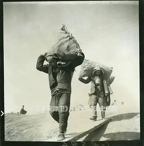 快来看天津卫港口码头珍贵老照片来了