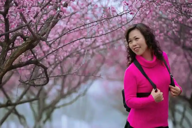 美女踏春 - vivo官网社区