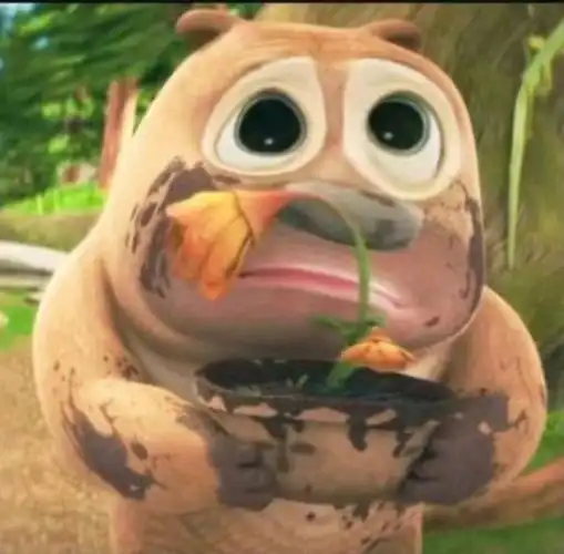 俺熊二打小就是狗熊岭最可爱的熊