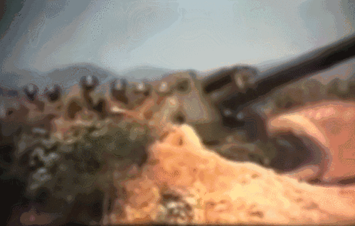 589_375gif 动态图 动图