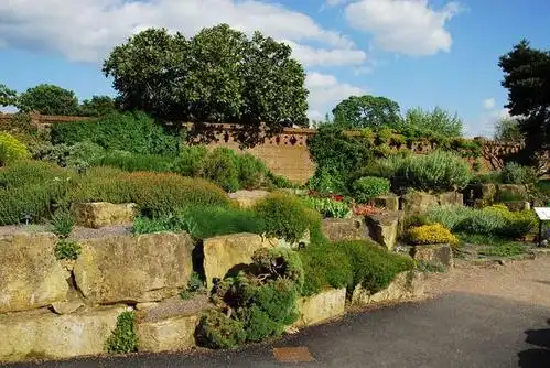 美国乡村庭院花园——在美国生活的几年