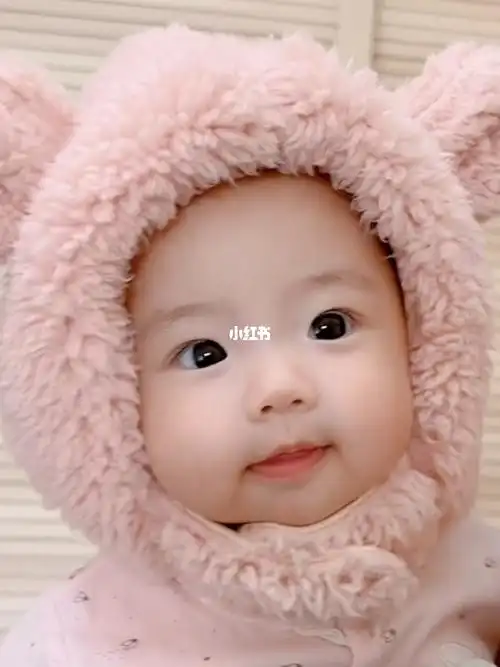 三个月时的熊宝宝